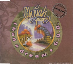 I Had a Dream / G.O.D.