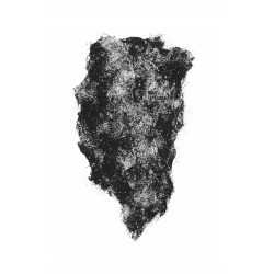 Echoes from Elsewhere