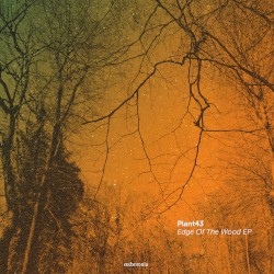 Edge of the Wood EP