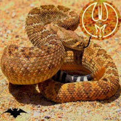 The Turning Scripture