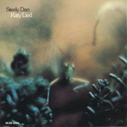 Katy Lied