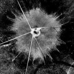 Development of Substitute Materials