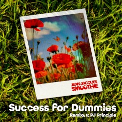 Success for Dummies