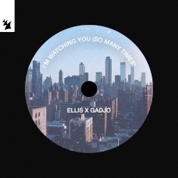 I’m Watching You (So Many Times)