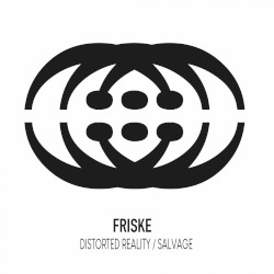 Distorted Reality / Salvage