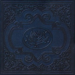 Cold Roses