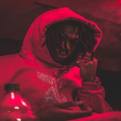 Warhol 16’