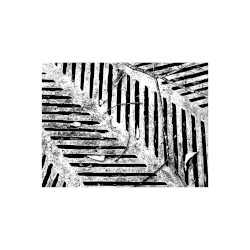 Electroacoustic Works 1