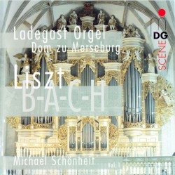 Ladegast-Orgel, Dom zu Merseburg Vol. 1