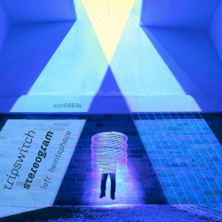 Stereogram (Left Hemisphere)