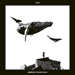 Confusion of Sound EP