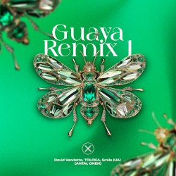 Guaya Remix 1