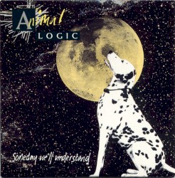 Someday We'll Understand