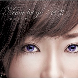 Never let go / 夜空