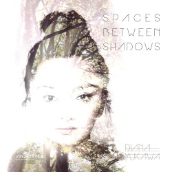 Spaces Between Shadows