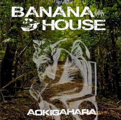 Aokigahara