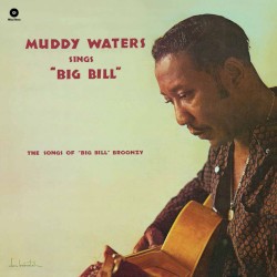 Muddy Waters Sings Big Bill Broonzy