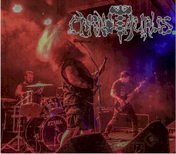 A Stampede of Horns and Shields