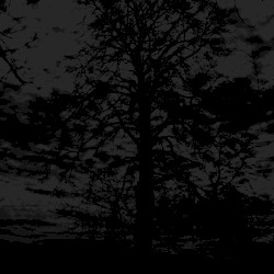 Demo Session - VI - Rebirth Ritual in C Minor