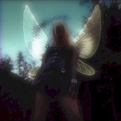 Petrichor (stripped)