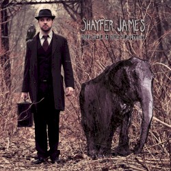 The Owl & The Elephant