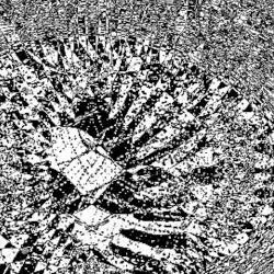 Transmission / Suppression