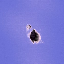 Say It (Phazz remix)