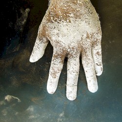 Night of Your Ascension