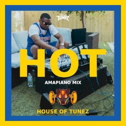 HOT Amapiano Mix Vol. 1 (DJ Mix)