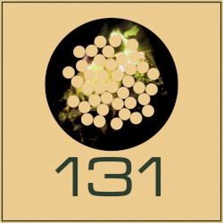 Greenest Grass Whitest Clouds IX