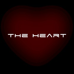The Heart