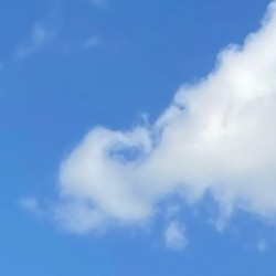 Mockingbird (sped up version)