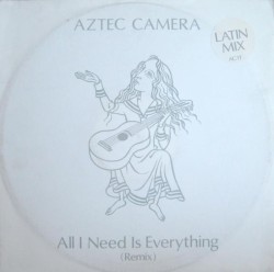 All I Need Is Everything