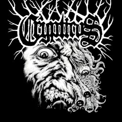 Dedicated to the Impure