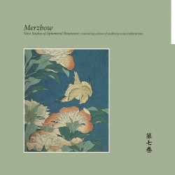 Nine Studies of Ephemeral Resonance, Volume 7