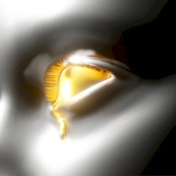 Burning (Snakehips remix)