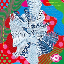 Samurai Mekong Activity