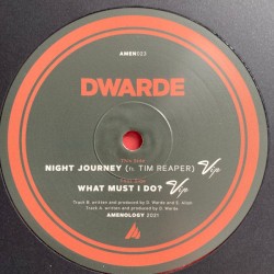 What Must I Do? VIP / Night Journey VIP