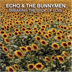 Breaking the Back of Love