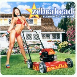 Playmate Of The Year