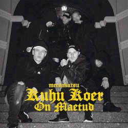Kuhu koer on maetud