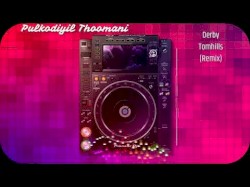 Pulkodiyil Thoomani (Derby Tomhills Remix)