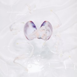 The Snipe & The Clam