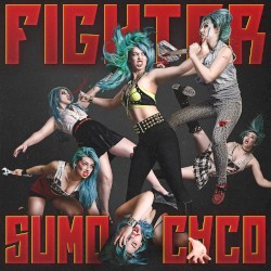 Fighter (radio edit)