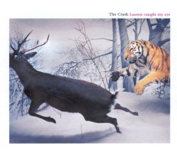 Lauren Caught My Eye