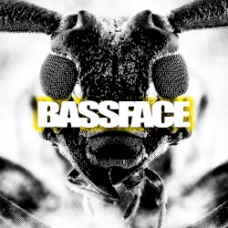 Bassface