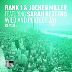 Wild and Perfect Day (The Remixes)