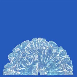 Yes! Come Parade With Us