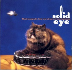 Electromagnetic Field and Stream of Conciousness