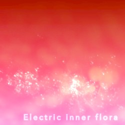 Electric inner flora